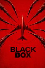 Black Box (2026)